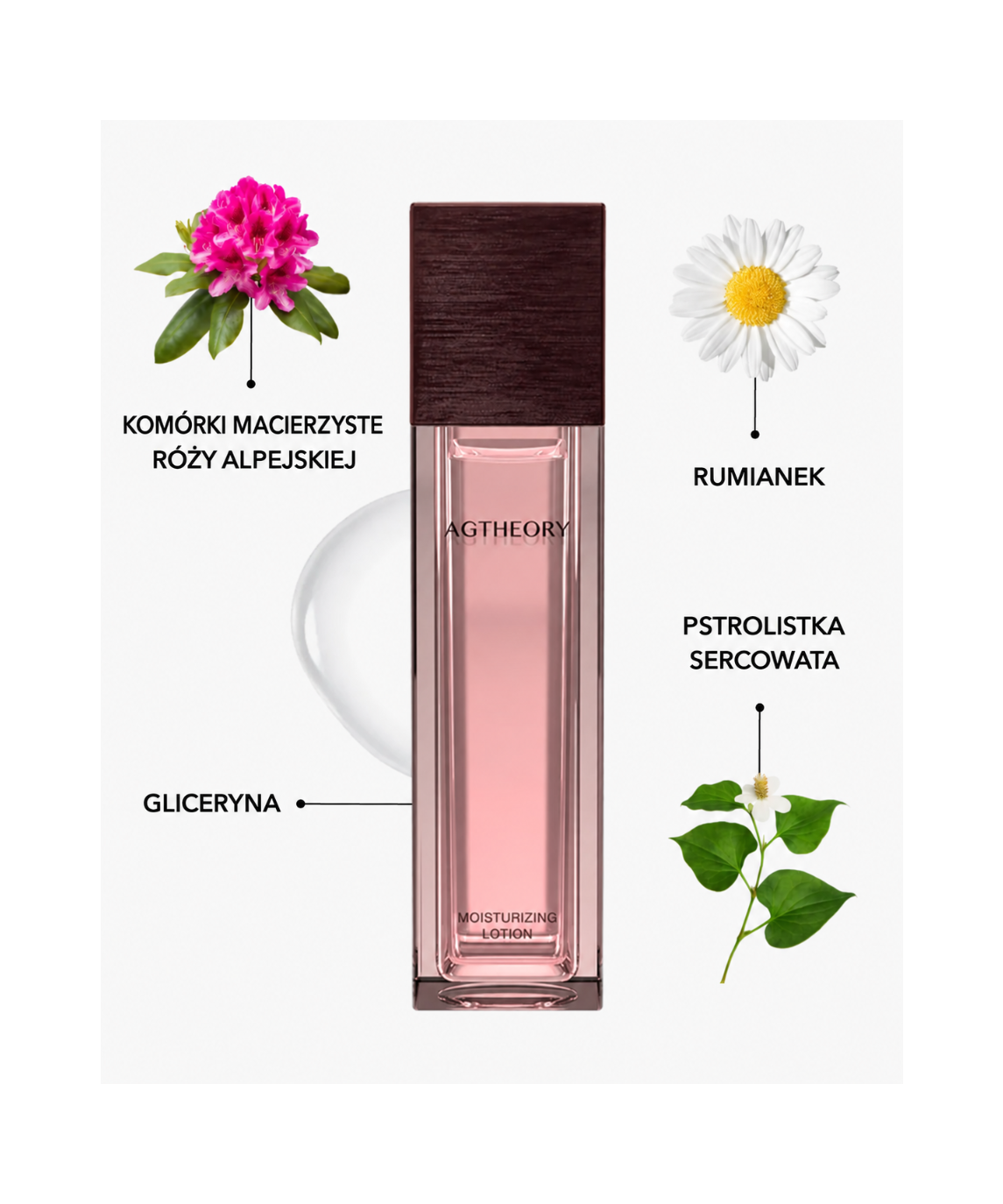 AXXZIA AGTheory Moisturizing Lotion - innowacyjny lotion przeciw oznakom starzenia skóry związanym z glikacją