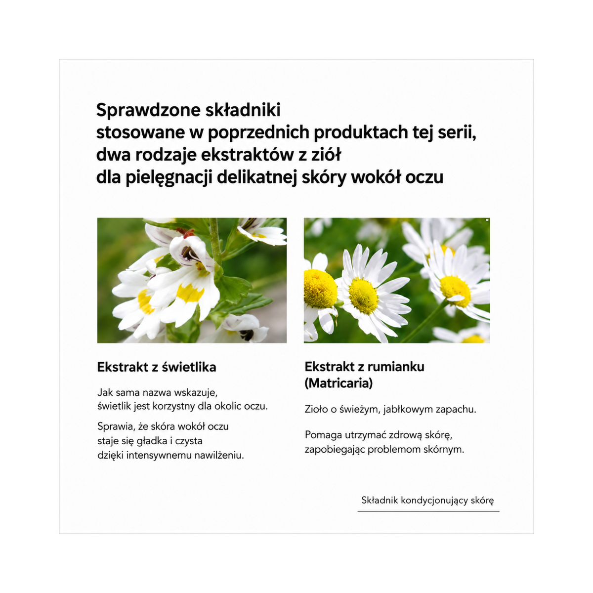AXXZIA Beauty Eyes Routine Care Premium Essence – składniki: ekstrakt z świetlika i rumianku (Matricaria)