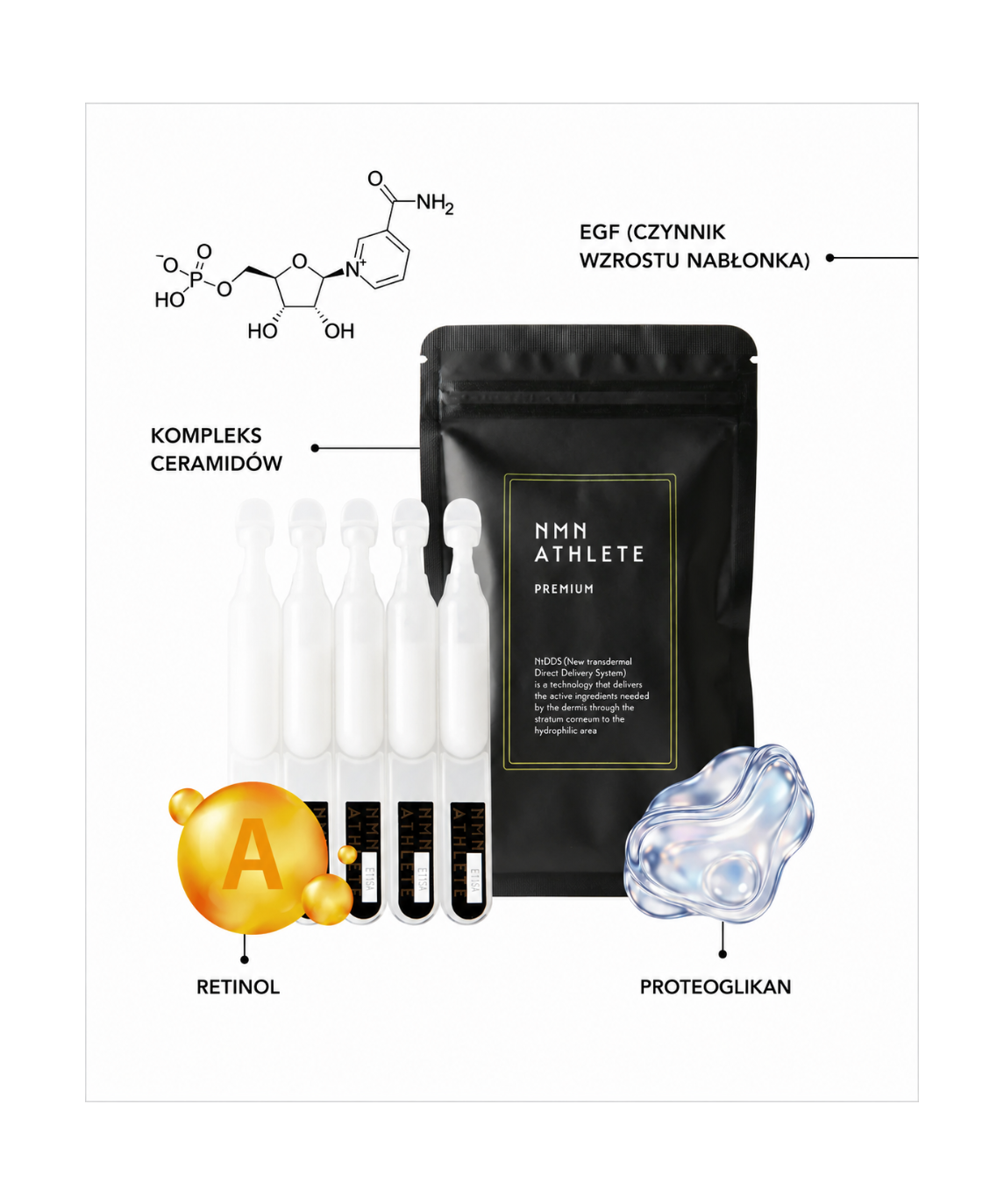 NMN ATHLETE Premium Essence - Serum esencjonalne NMN dla nawilżonej i promiennej skóry*