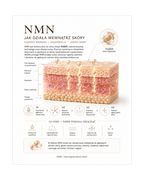 NMN ATHLETE Premium Cream - Japoński krem do twarzy anti-age z NMN*