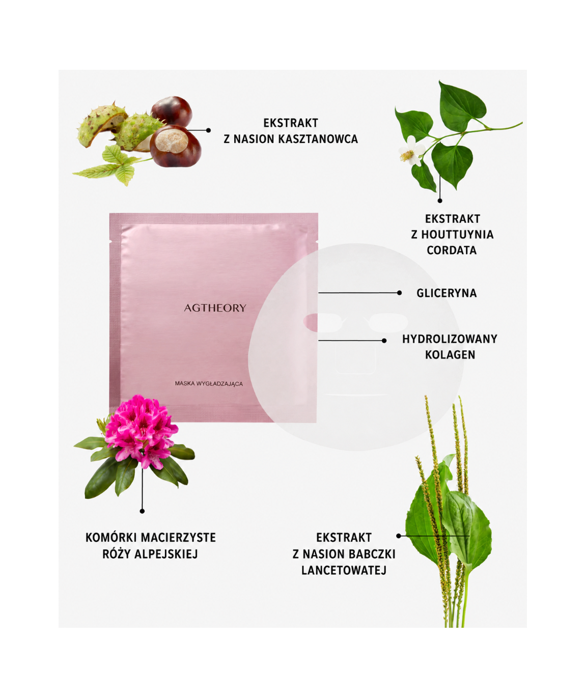 AGTheory Smooth Face Mask - Przeciwstarzeniowa maska w płachcie*