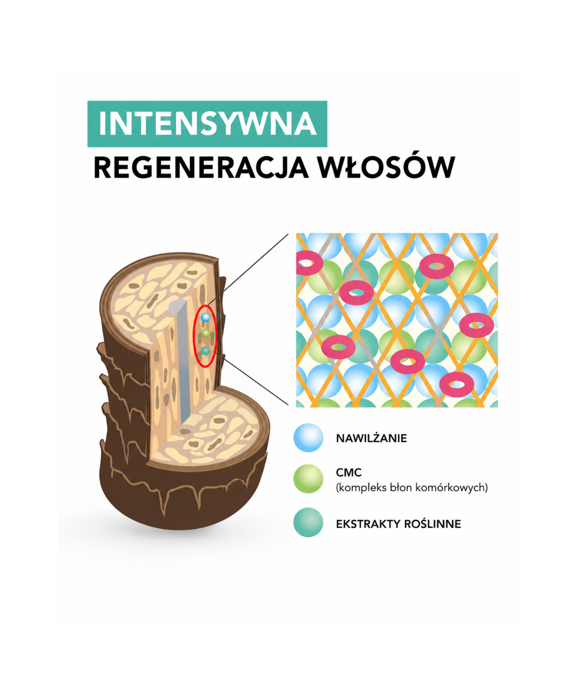 Cool Orange UC - Oczyszczenie, wzmocnienie i stymulacja wzrostu włosów*