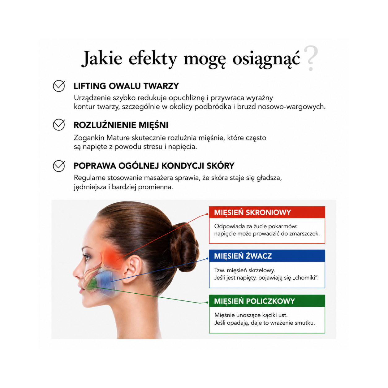 EMS Massager Zogankin Mature - EMS Massager*