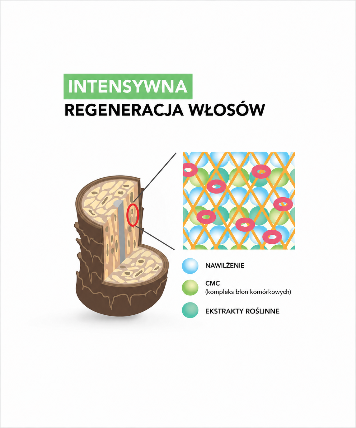 Moisturising & Revitalising set - Zestaw pielęgnacyjny odpowiedni do każdego rodzaju włosów*