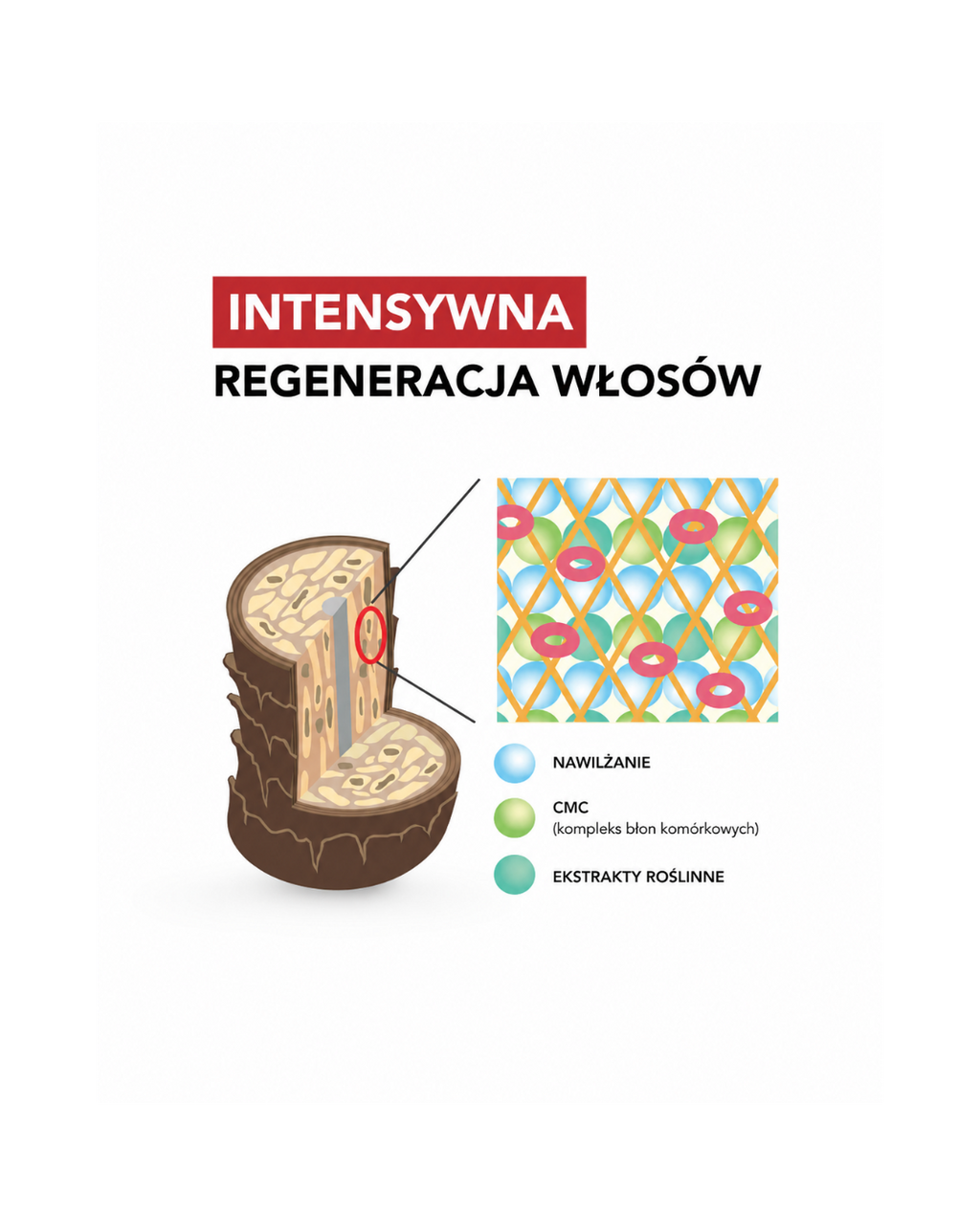 Blond Recovery set - Zestaw do intensywnej regeneracji*