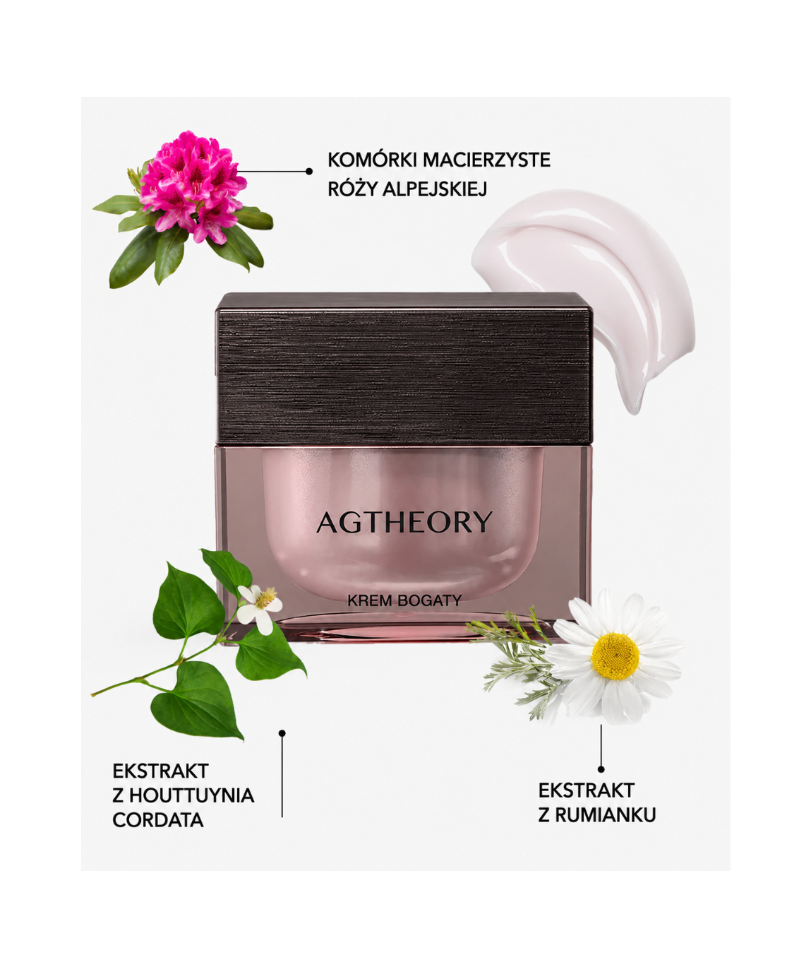 AGTheory Rich Cream - Zaawansowany krem do twarzy anti-age*