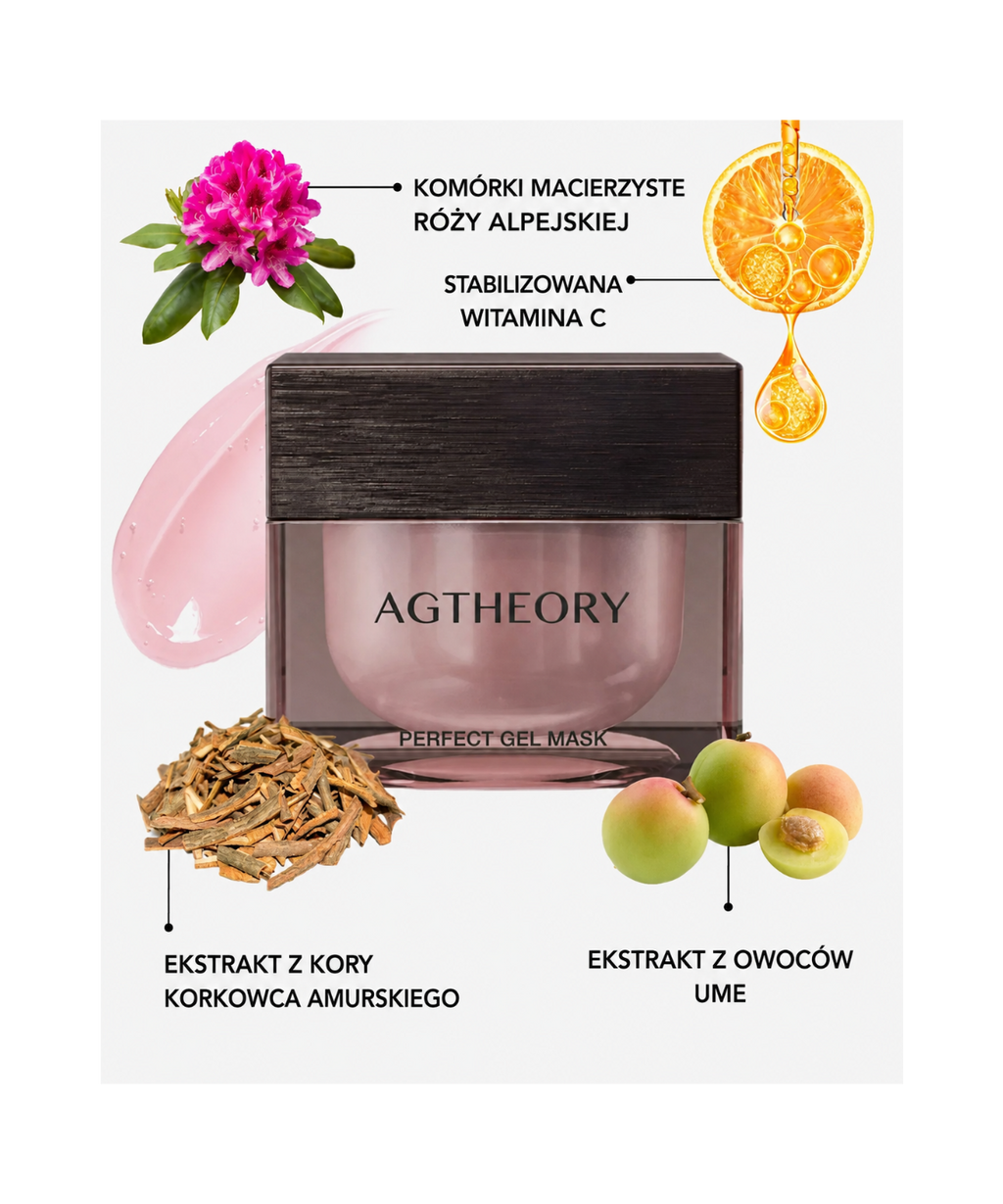 AXXZIA AGTheory Perfect Gel Mask – składniki aktywne: komórki macierzyste róży alpejskiej, stabilizowana witamina C, ekstrakt z kory korkowca amurskiego i ekstrakt z owoców ume