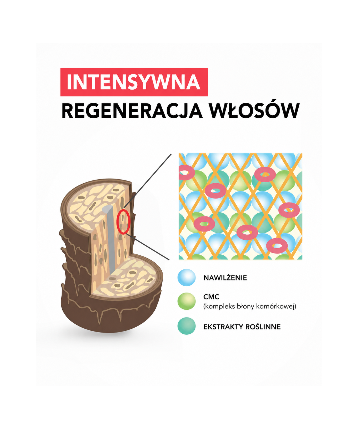 IAU Cell Care 5M - Intensywna maska nawilżająca do włosów*