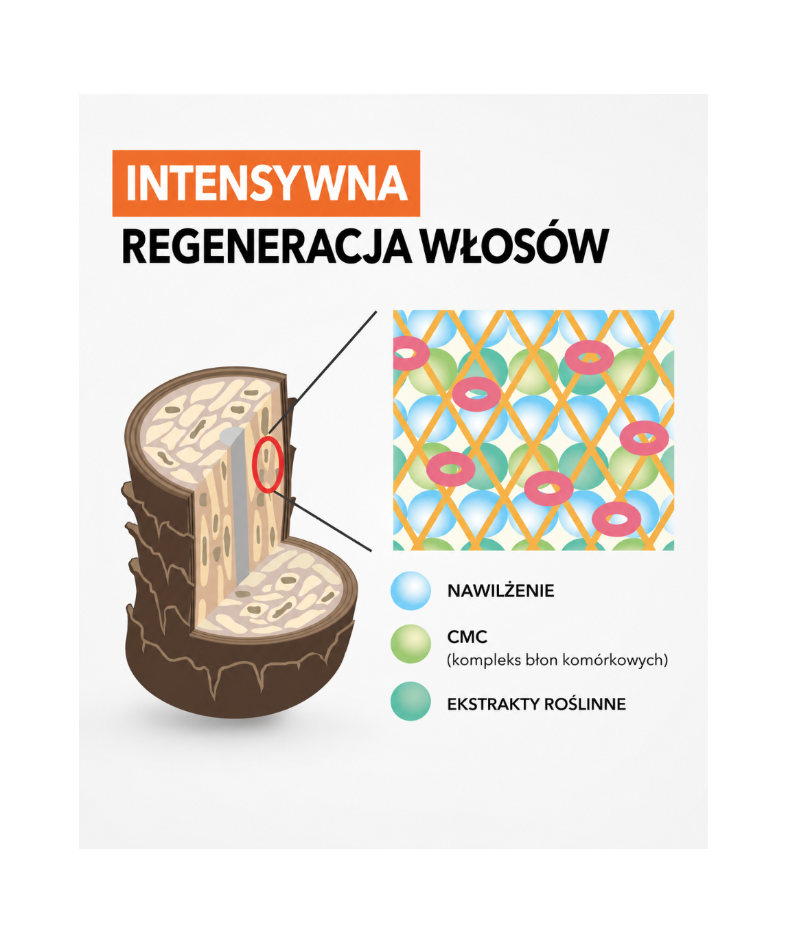 IAU Cleansing Freshment Shampoo - Odświeżający szampon do głębokiego oczyszczania*